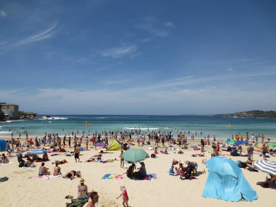 1503295_10151888423758519_1379094055_n